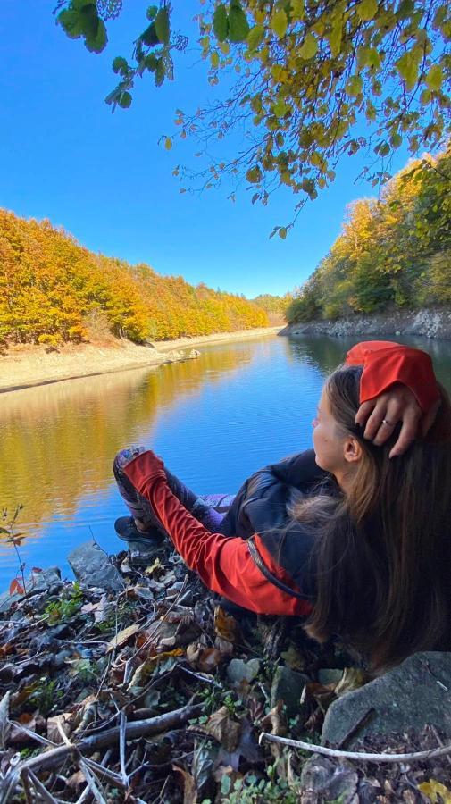 Adori Lägenhet Ilirska Bistrica Exteriör bild