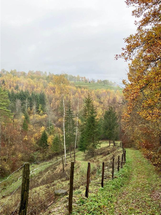 Adori Lägenhet Ilirska Bistrica Exteriör bild